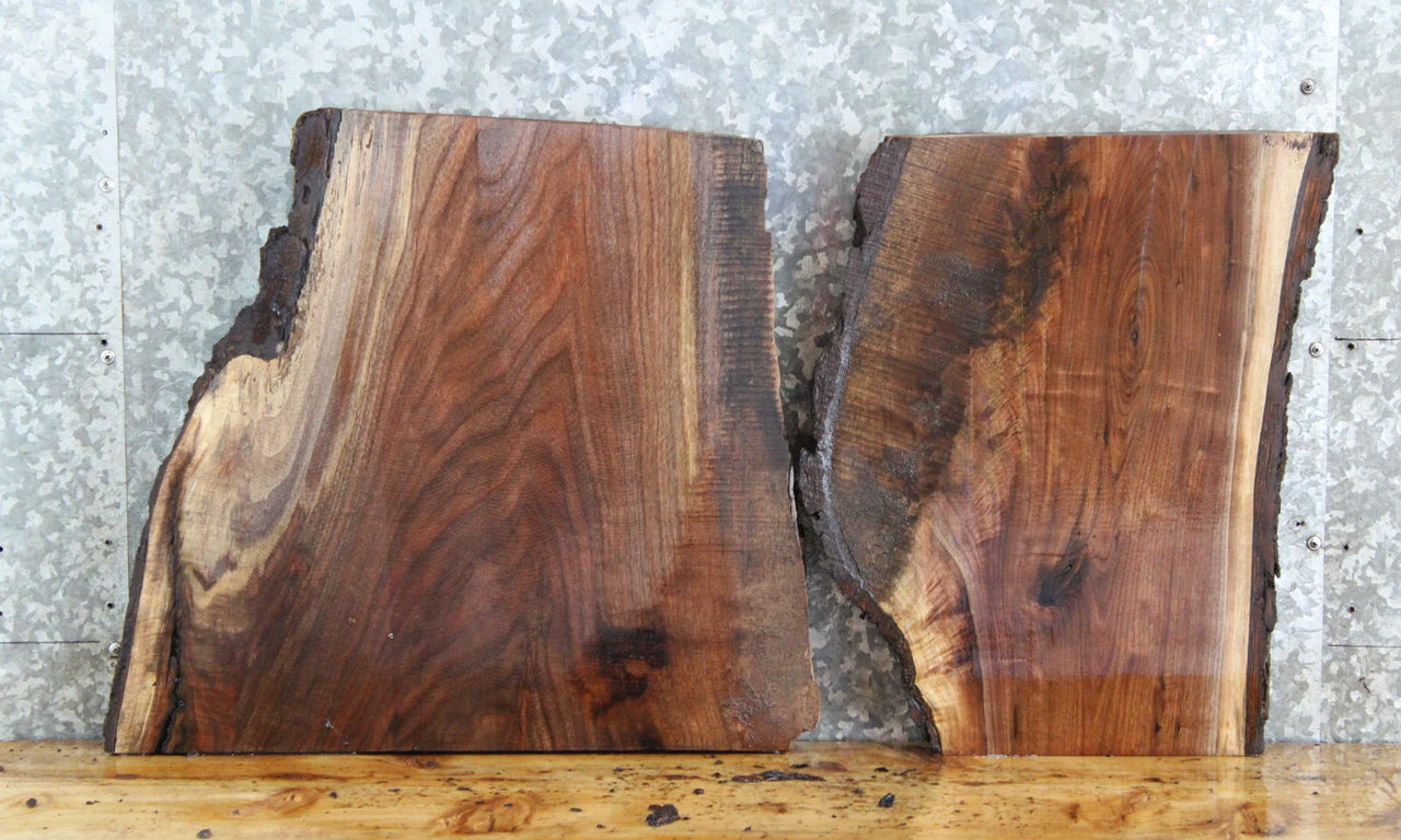 2- Live Edge Black Walnut Charcuterie Boards/End Table Top Slabs 865-866
