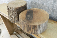 Thumbnail for 2- Natural Edge Black Walnut Salvaged Small Logs/Craft Pack Slabs 8660