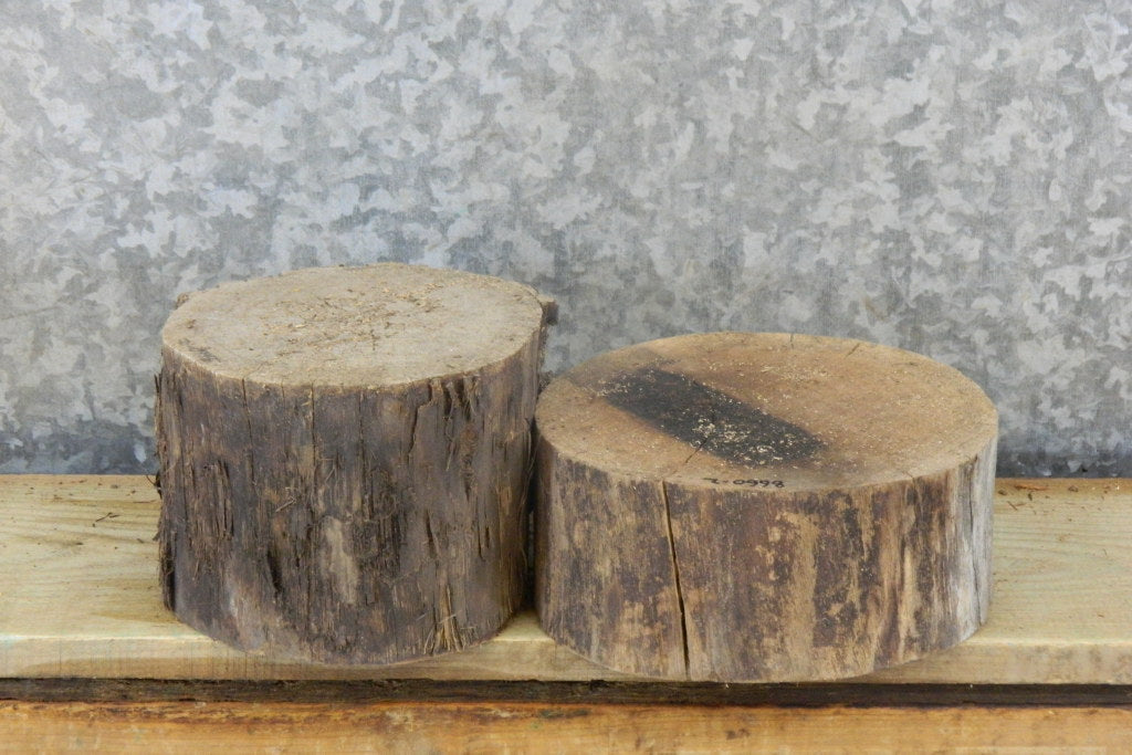 2- Natural Edge Black Walnut Salvaged Small Logs/Craft Pack Slabs 8660