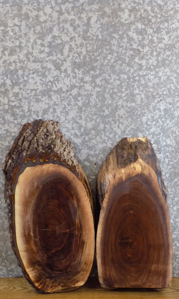 2- Black Walnut Oval Cut Live Edge DIY Charcuterie Boards/Slabs 8715-8716