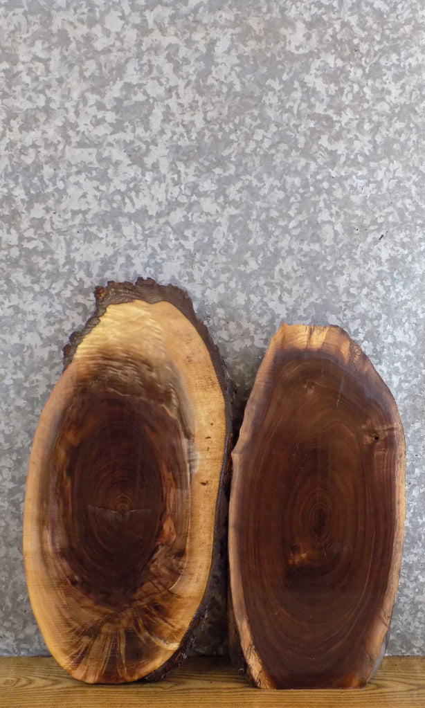2- Black Walnut Oval Cut Live Edge DIY Charcuterie Boards/Slabs 8715-8716