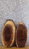 Thumbnail for 2- Black Walnut Oval Cut Live Edge DIY Charcuterie Boards/Slabs 8715-8716