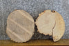 Thumbnail for 2- Salvaged Round Cut Live Edge Ash Craft Pack Slabs 8718