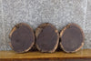 Thumbnail for 3- Round Cut Live Edge Rustic Black Walnut Craft Pack Slabs 8739