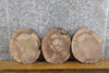 Thumbnail for 3- Round Cut Live Edge Rustic Black Walnut Craft Pack Slabs 8739