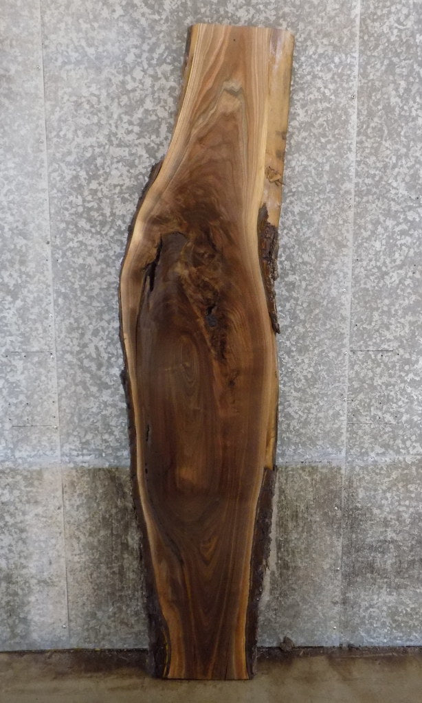 Live Edge Bark Black Walnut Sofa Table/Bar Top Slab CLOSEOUT 883