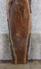 Thumbnail for Live Edge Bark Black Walnut Sofa Table/Bar Top Slab CLOSEOUT 883