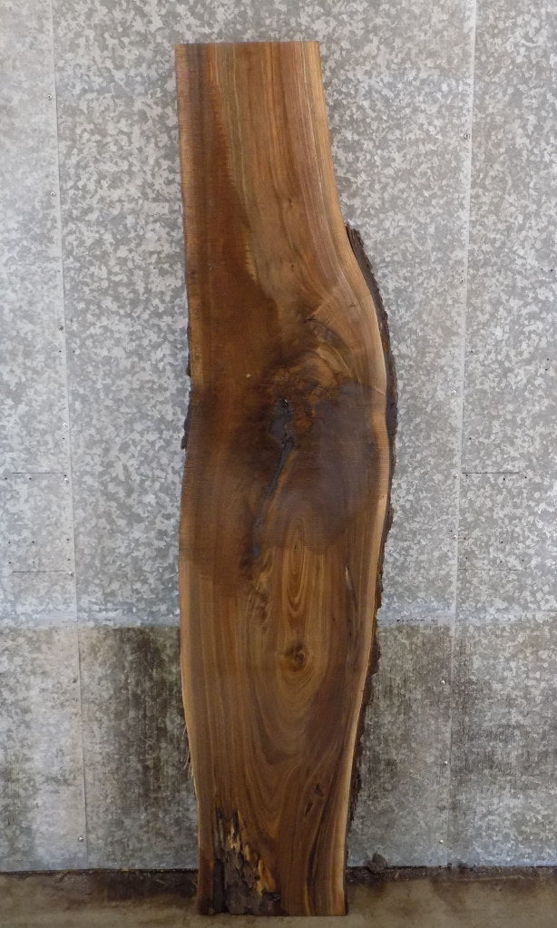 Live Edge Bark Black Walnut Sofa Table/Bar Top Slab CLOSEOUT 883