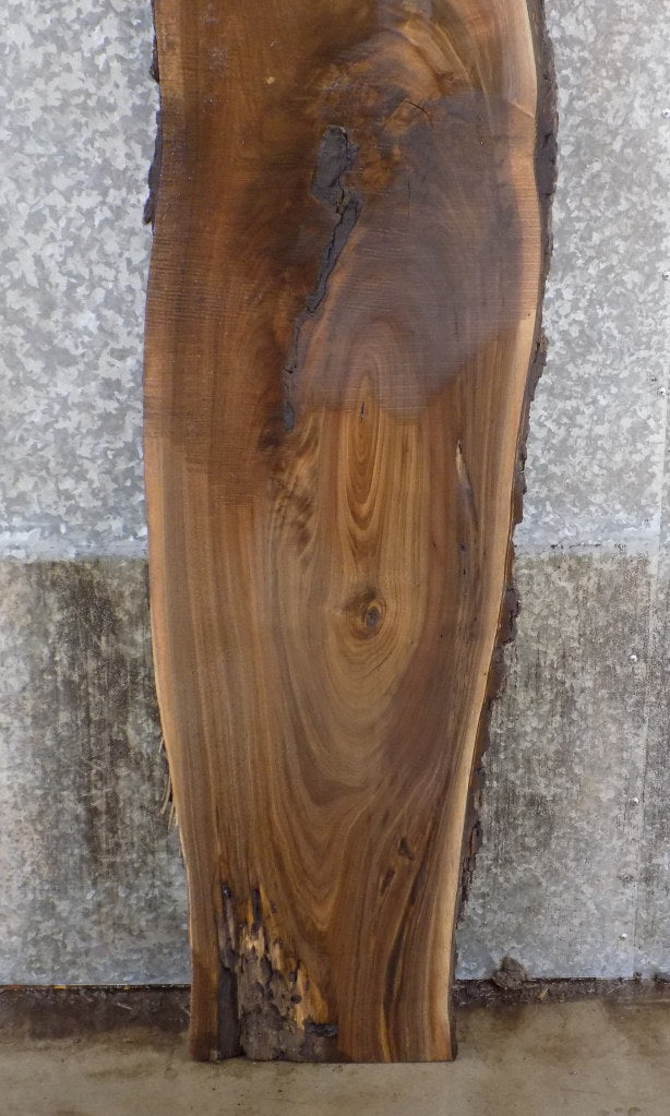 Live Edge Bark Black Walnut Sofa Table/Bar Top Slab CLOSEOUT 883