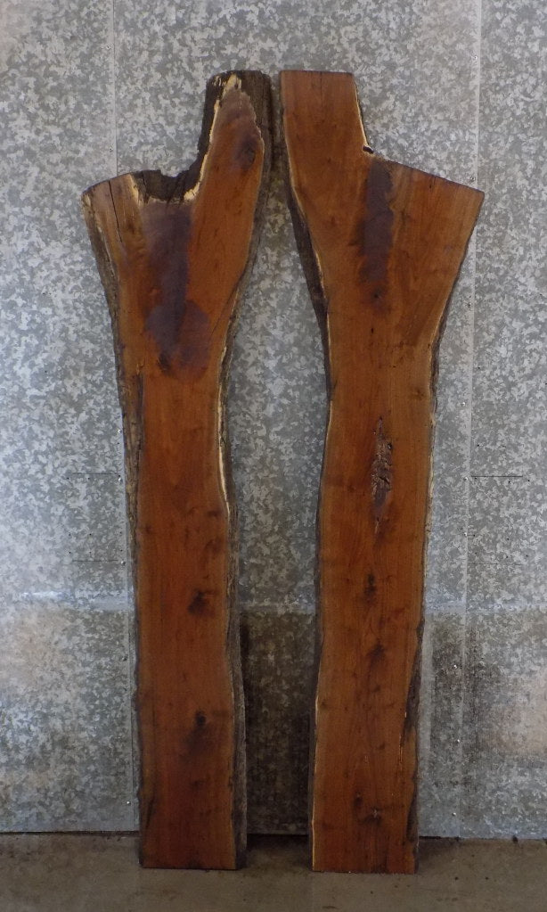 2- Black Walnut Bookmatched Rustic Live Edge Bar/Table Top Slabs 885-886