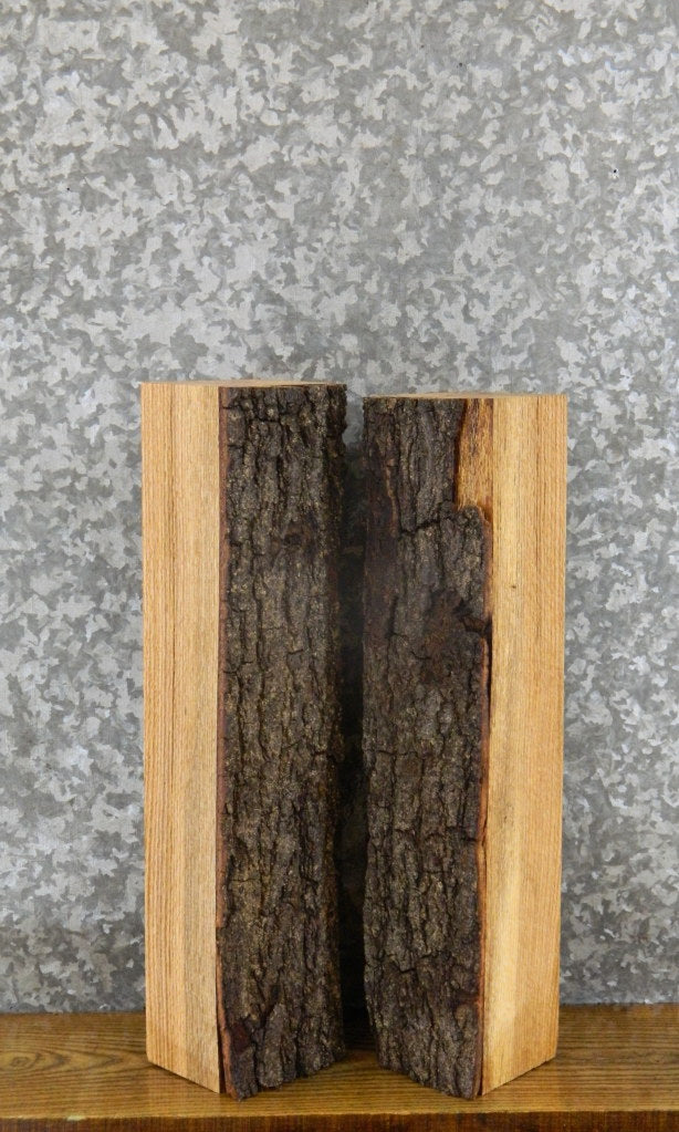 2- Salvaged Partial Live Edge Red Oak Craft Pack 8871-8872