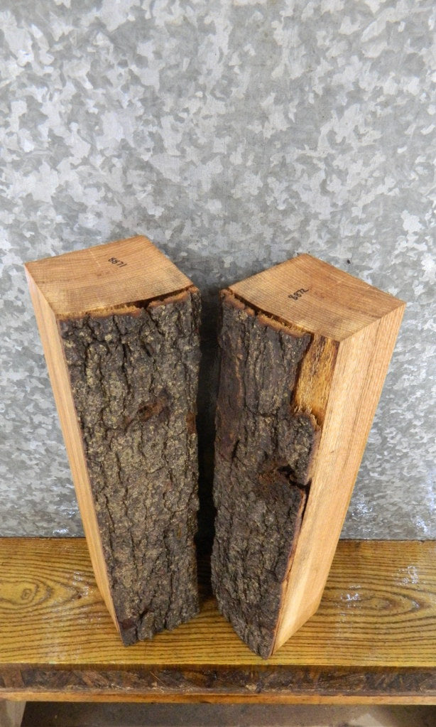 2- Salvaged Partial Live Edge Red Oak Craft Pack 8871-8872