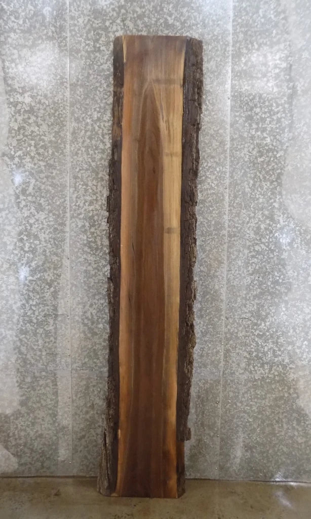 Live Edge Black Walnut Kitchen Counter/Bar Top/Mantel Slab 890