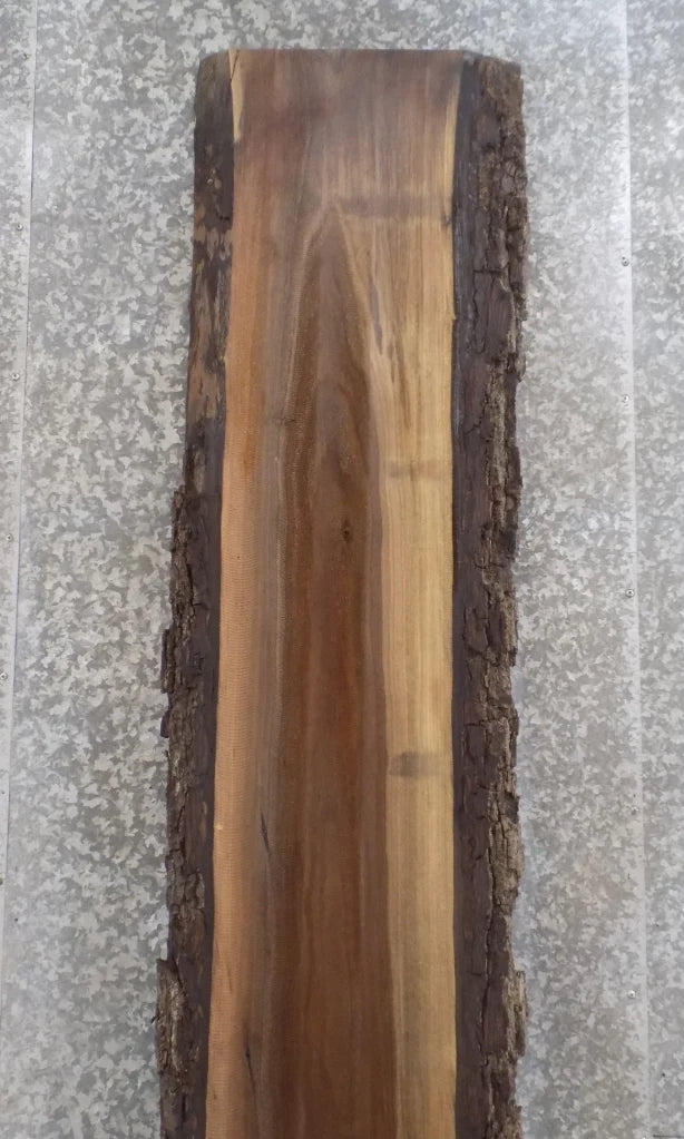 Live Edge Black Walnut Kitchen Counter/Bar Top/Mantel Slab 890