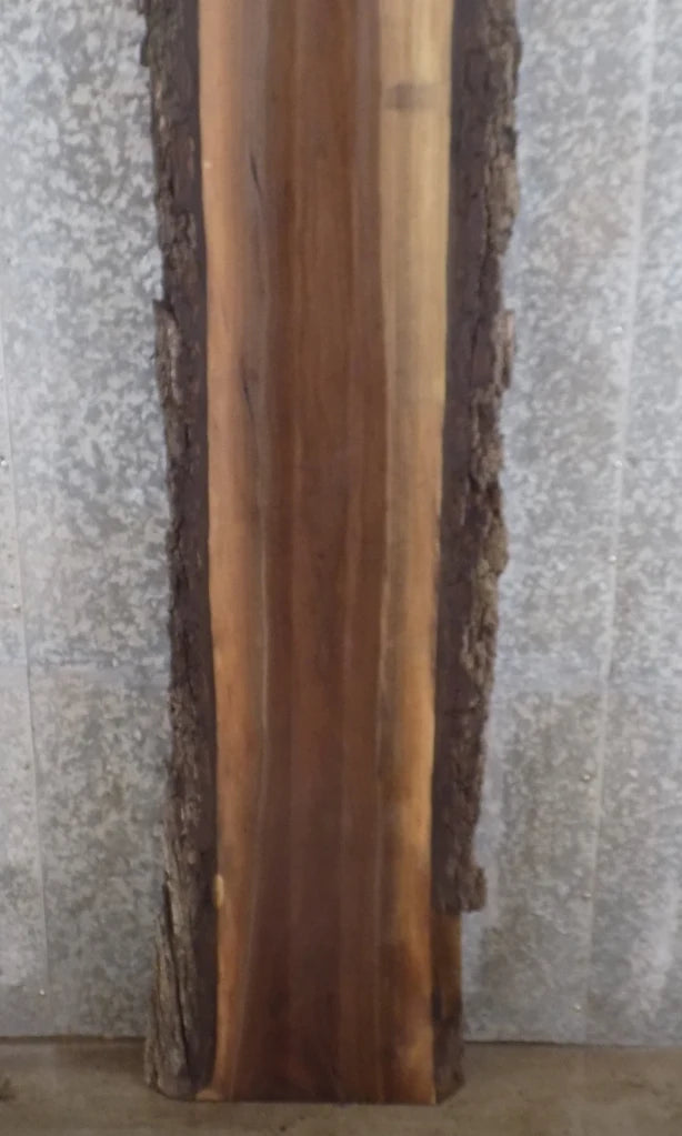Live Edge Black Walnut Kitchen Counter/Bar Top/Mantel Slab 890