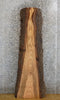 Thumbnail for Live Edge Rustic Red Oak Coffee/Sofa Table Top Slab 8