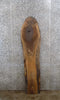 Thumbnail for Live Edge Black Walnut Kitchen Counter Top Slab CLOSEOUT 901