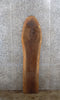 Thumbnail for Live Edge Black Walnut Kitchen Counter Top Slab CLOSEOUT 901