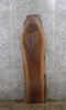 Thumbnail for Live Edge Black Walnut Coffee/ Wood Mantle Top Slab CLOSEOUT 904