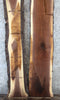 Thumbnail for 2- Live Edge Black Walnut Slabs, Epoxy River Table Top Wood 914-915