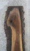 Thumbnail for Rustic Bark Live Edge Black Walnut Slab, Bar Top, Mantel Slab 921