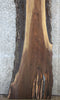 Thumbnail for Rustic Bark Live Edge Black Walnut Slab, Bar Top, Mantel Slab 921