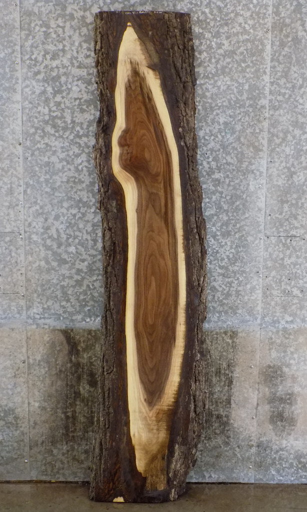Live Edge Bark Black Walnut Cocktail Table Top Slab CLOSEOUT 922