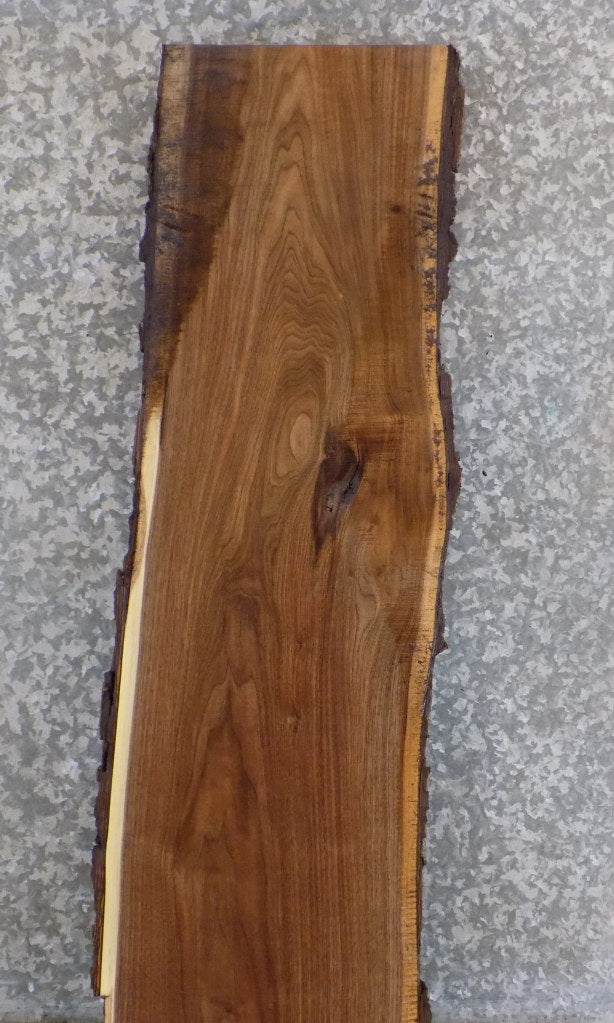 Live Edge Bark Black Walnut Cocktail Table Top Slab CLOSEOUT 922