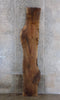 Thumbnail for Rustic Black Walnut Live Edge Slab, Bar Top, Mantel Wood 943