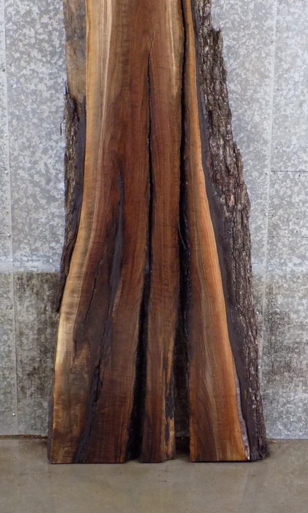 Rustic Live Edge Black Walnut Slab, Bar Top, Table Top, Mantel 966