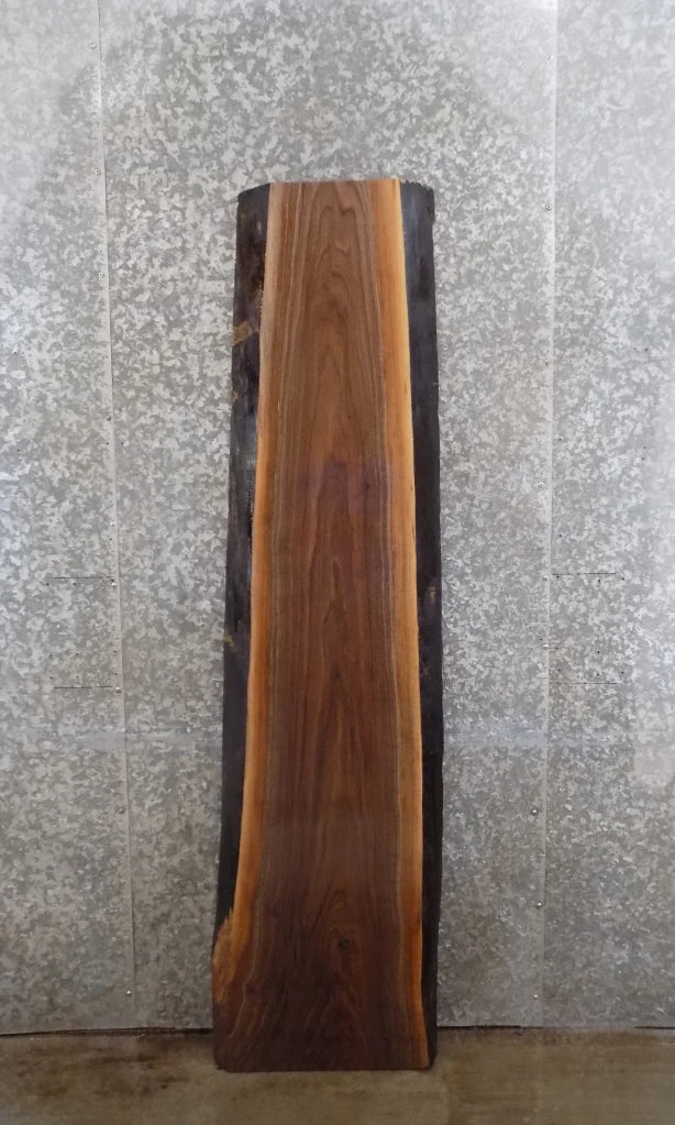 Live Edge Black Walnut Bar Top/Accent Table Top Slab CLOSEOUT 992