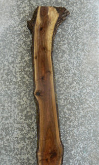 Thumbnail for Natural Edge Bark Black Walnut Rustic Trestle Wood Slab 1031