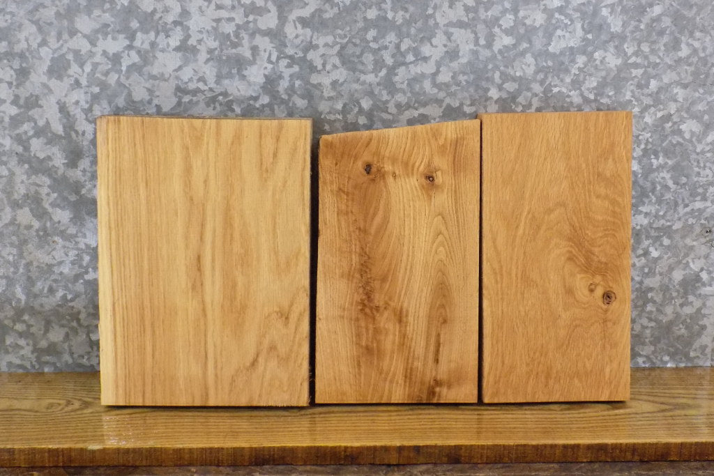 3- Rustic White Oak Kiln Dried Craft/Lumber Pack/Taxidermy Bases 11493-11495