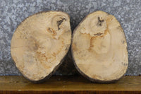 Thumbnail for 2- Live Edge Round Cut Reclaimed Ash Craft Pack/Taxidermy Bases 12148-12149