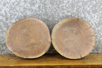 Thumbnail for 2- Round Cut Live Edge Black Walnut Reclaimed Craft Pack Slabs 12285-12286