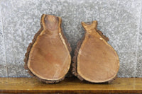 Thumbnail for 2- Round Cut Black Walnut Live Edge Centerpiece Wood Slabs 12298-12299