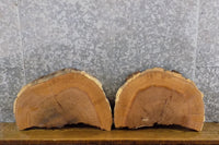 Thumbnail for 2- Salvaged Live Edge Oval Cut White Oak Epoxy Project/Craft Pack 12832-12833