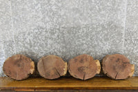 Thumbnail for 4- Natural Edge Round Cut Black Walnut Centerpieces CLOSEOUT 12849-12852
