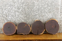 Thumbnail for 8- Natural Edge Round Cut Black Walnut Craft Pack/Taxidermy Bases 12872-12879