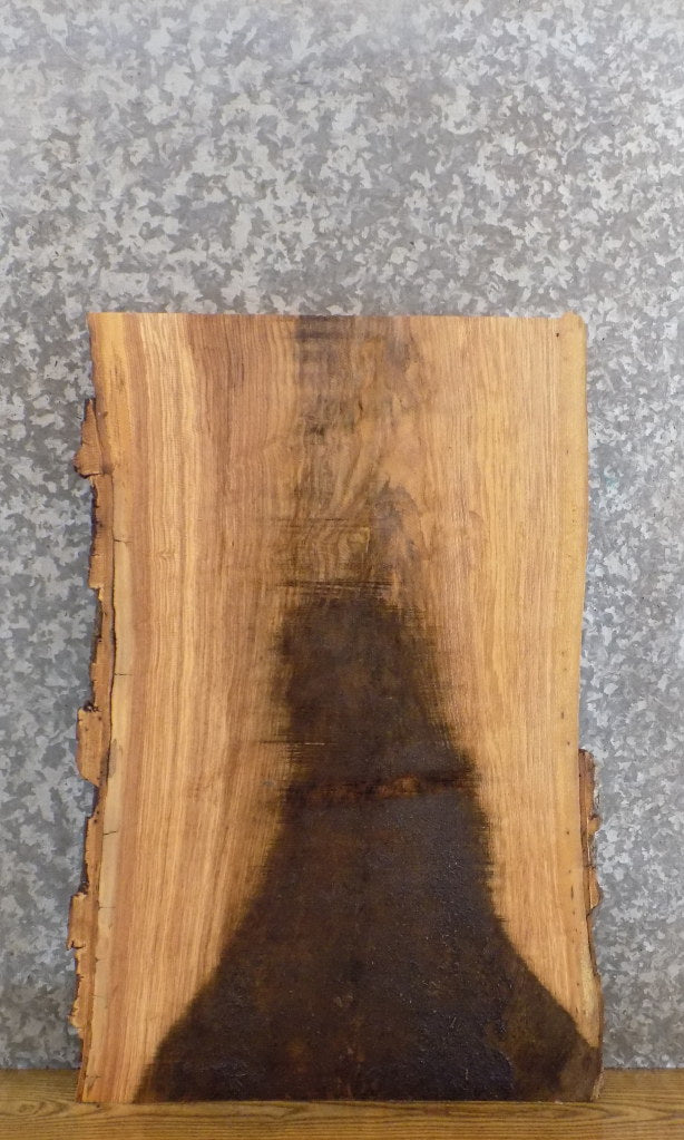 Rustic Live Edge Bark Ash Sofa/Coffee Table Top Wood Slab 13050