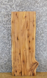 Thumbnail for Natural Edge Rustic Elm Floating Vanity/Table Top Wood Slab 13119