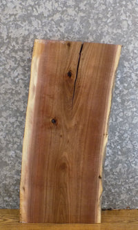 Thumbnail for Black Walnut Live Edge Rustic End/Entry/Side Table Top Slab 13336