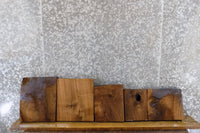 Thumbnail for 5- Black Walnut Salvaged Kiln Dried Craft/Lumber Pack 13962-13966