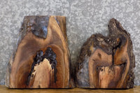 Thumbnail for 2- Kiln Dried Rustic Black Walnut Art/Epoxy Project 13970-13971