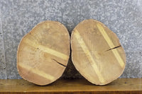Thumbnail for 2- Natural Edge Round Cut Mulberry Reclaimed Clock Plaque Slabs 14316-14317