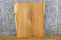 Thumbnail for Salvaged Natural Edge White Oak End/Entry Table Top Slab 14402