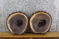 Thumbnail for 2- Live Edge Black Walnut Salvaged Round Cut Craft Pack Slabs 14472-14473