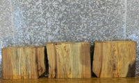 Thumbnail for 3- Natural Edge Rustic Elm Craft Pack CLOSEOUT 14515-14517