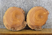 Thumbnail for 2- Reclaimed Round Cut Live Edge Ash DIY Charcuterie Boards/Slabs 15569-15570