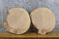 Thumbnail for 2- Reclaimed Round Cut Live Edge Ash DIY Charcuterie Boards/Slabs 15569-15570